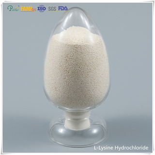 L-Lysine hydrochloride 98,5% cas cấp thức ăn chăn nuôi không có. 657-27-2
